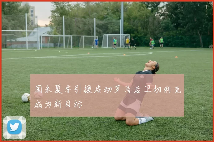 国米夏季引援启动罗马后卫切利克成为新目标
