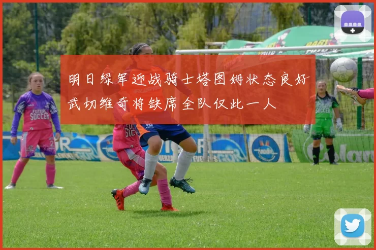 明日绿军迎战骑士塔图姆状态良好武切维奇将缺席全队仅此一人