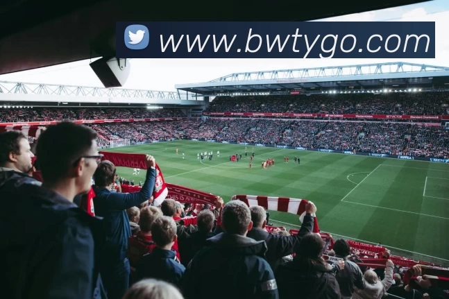 宝威体育服务体系